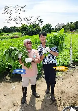 国产短剧行业分析配图